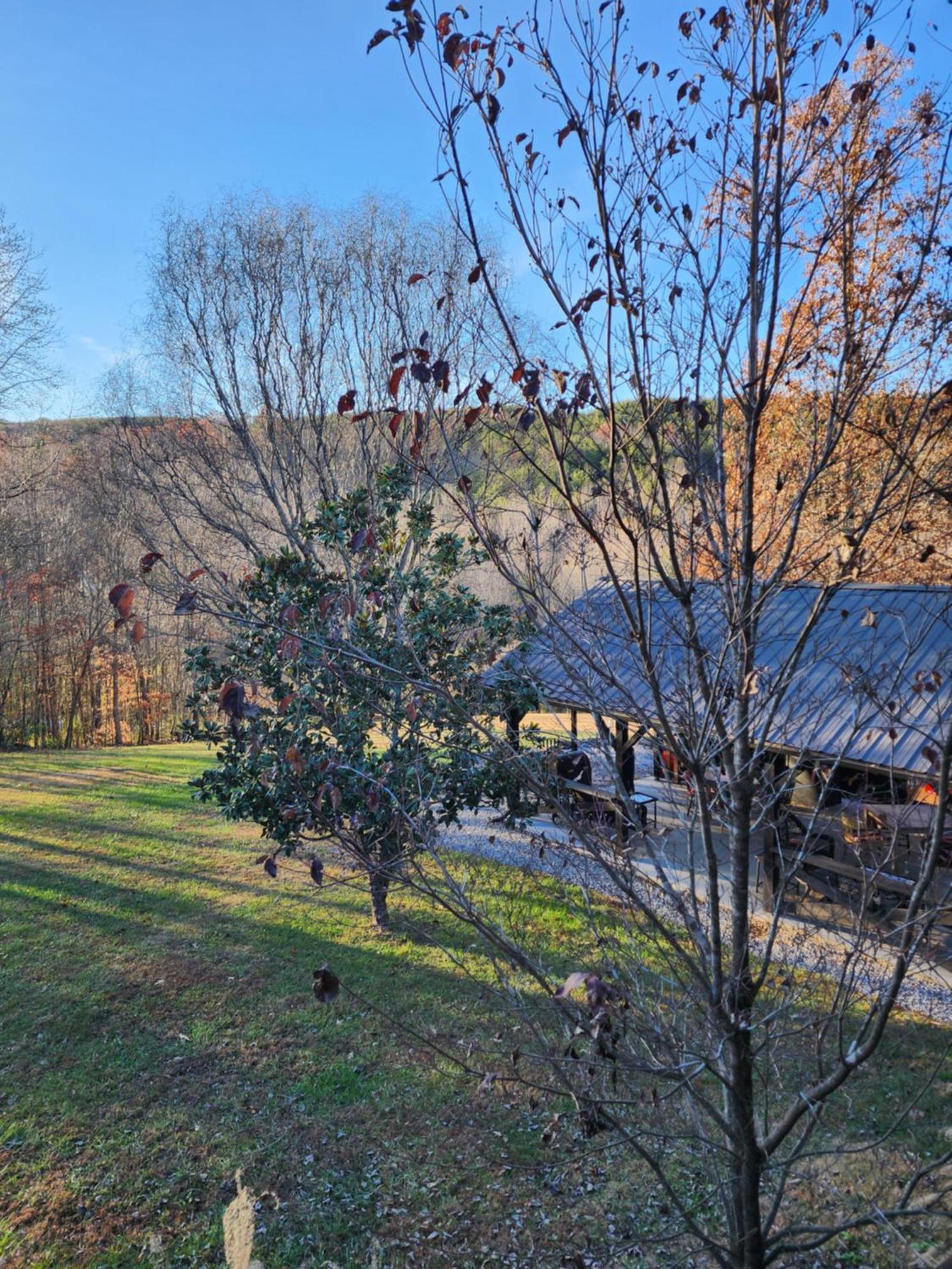Lodge At Tellico Tellico Plains Luaran gambar
